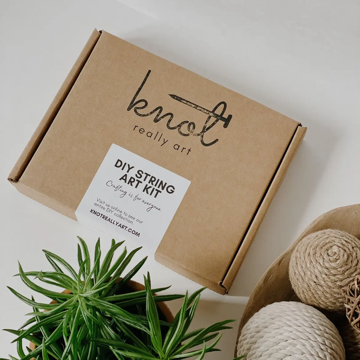 Plant DIY String Art Kit