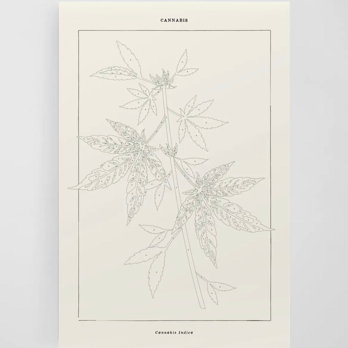 Cannabis Botanical | Modern Paint By Number Kit