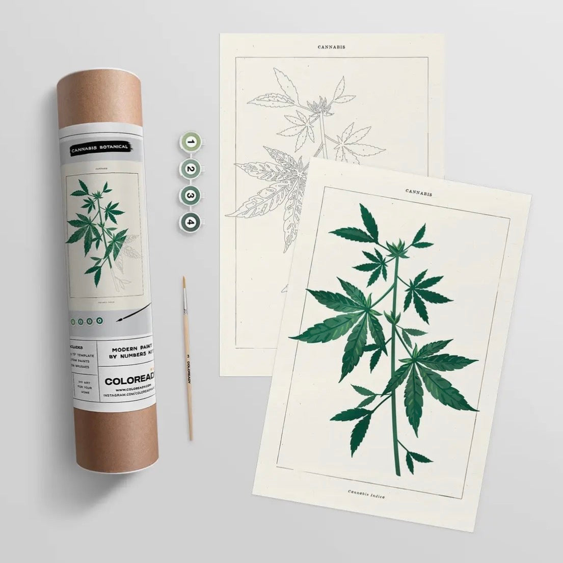 Paint By Number Kits