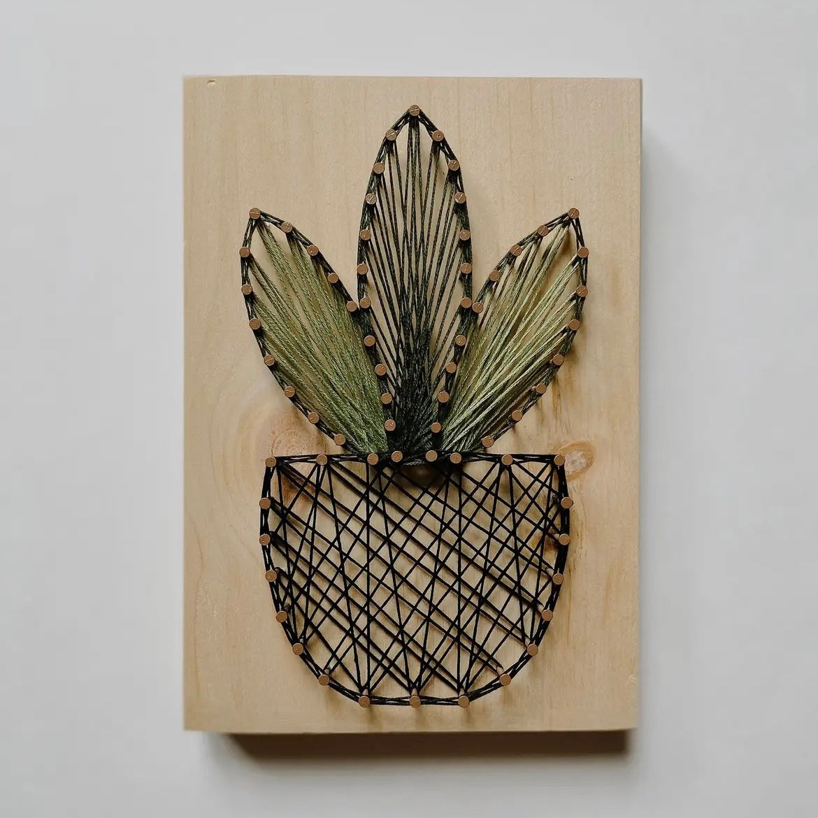 String Art Kits