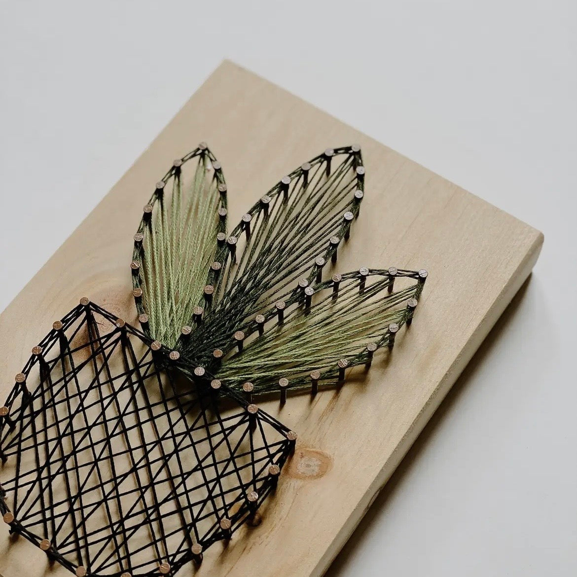 Plant DIY String Art Kit