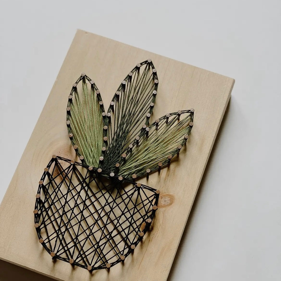 Plant DIY String Art Kit
