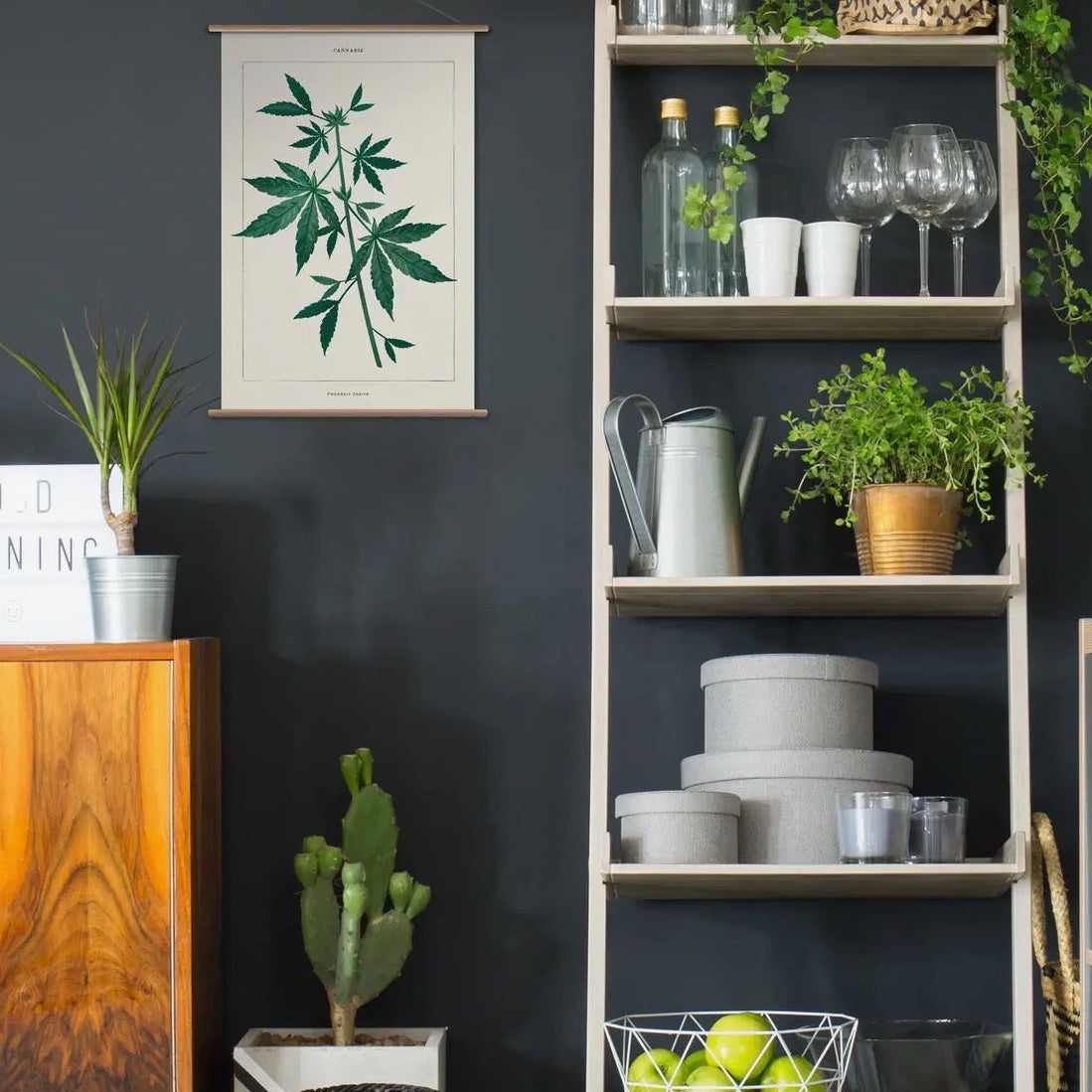 Cannabis Botanical | Modern Paint By Number Kit